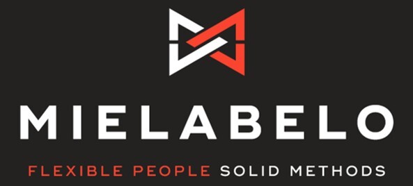 Logo sponsor